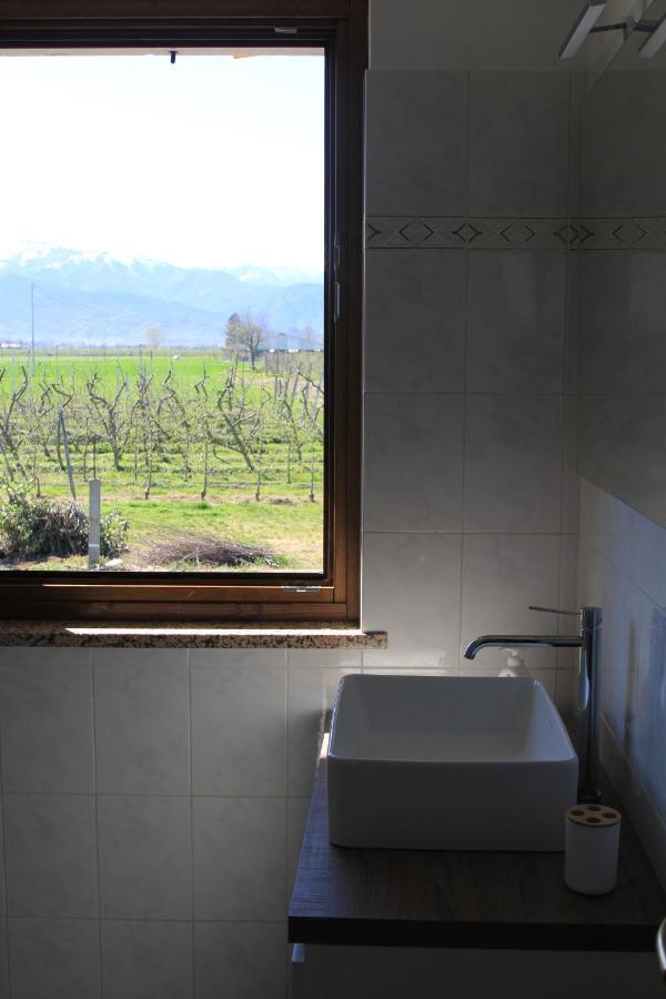 Casa Dell'Amicizia Daire Castellani Dış mekan fotoğraf